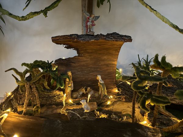 Presepe nella giungla