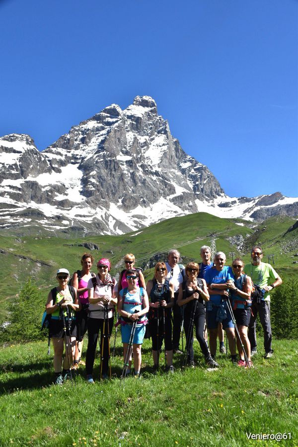 Gruppo giovani marmotte