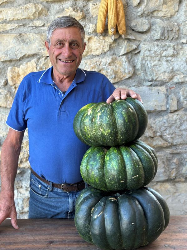 Le zucchine giganti