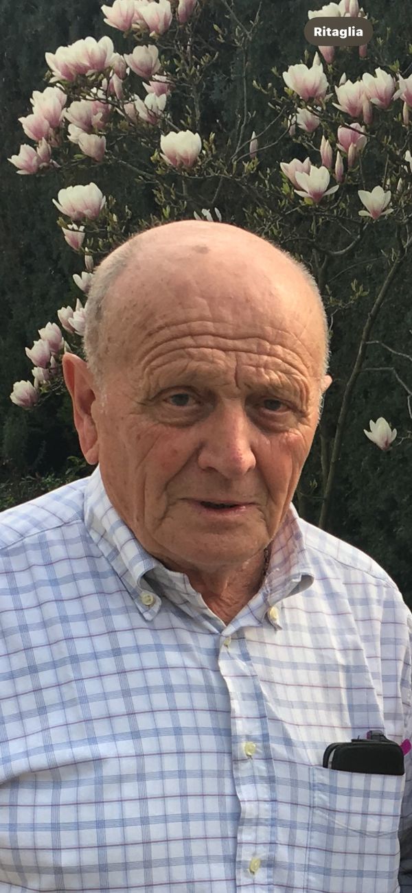 Vittorino Renzo Arnoldi