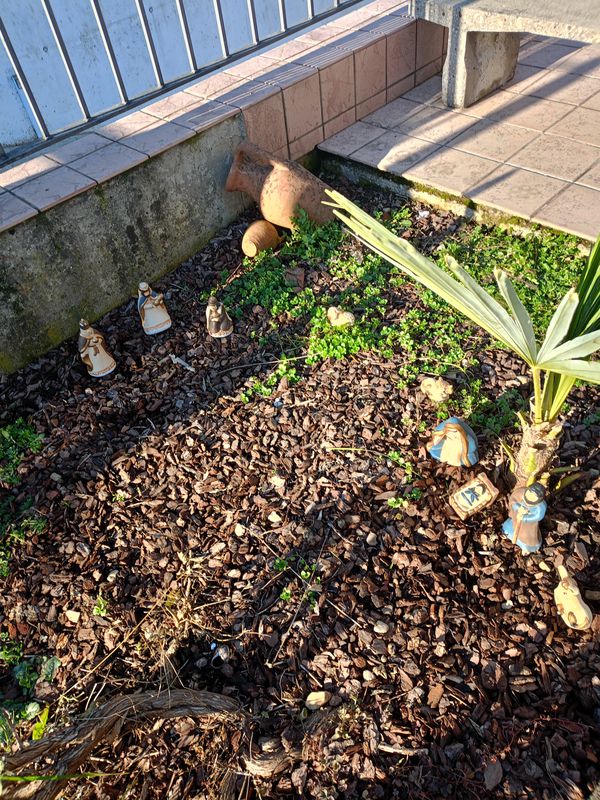 Volontari di Sant'Antonio