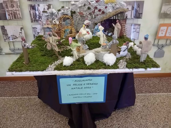 Presepio servizio disabili Sfa-Std