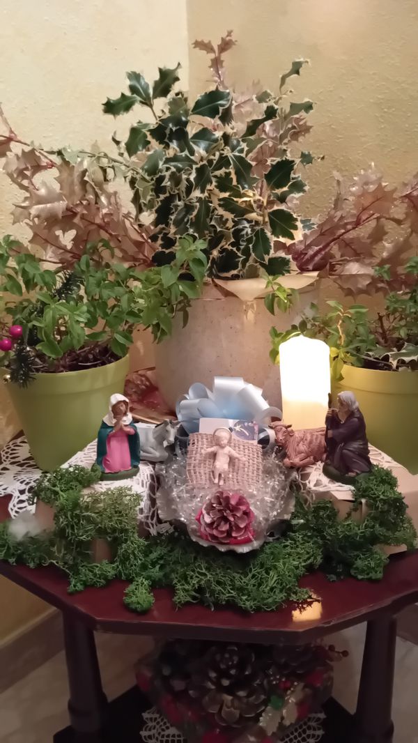 Il mio presepe per i ...