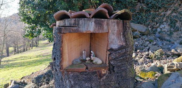 Il presepe nel tronco