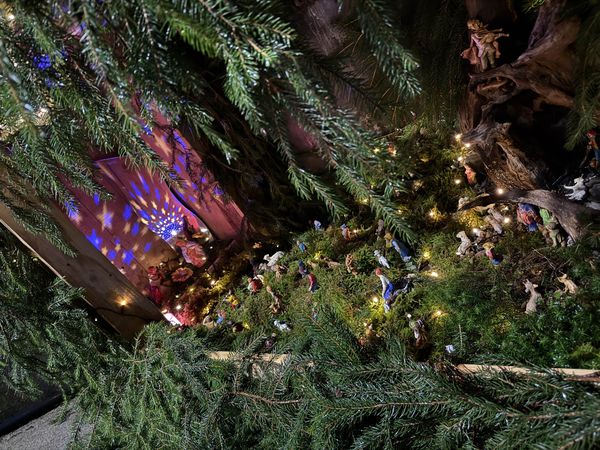 Nella contrada Forcella Bordogna