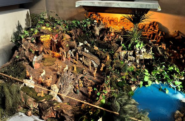 Presepe Casa Natale di Papa ...