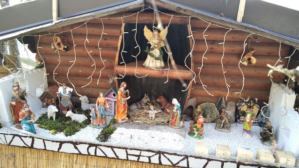 Carrara Oliviero Amora