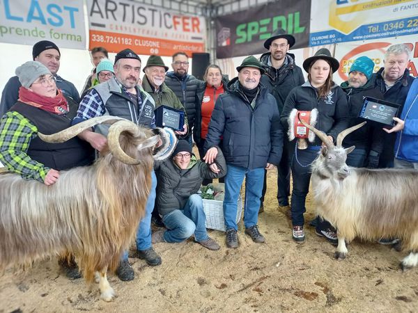 Fiera delle capre ad Ardesio