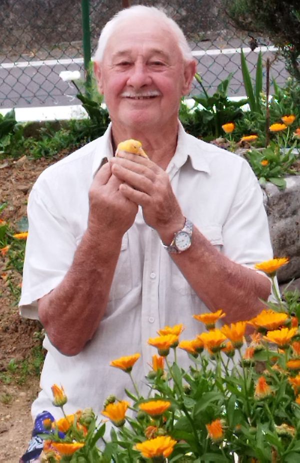 Vittorio Gaverini