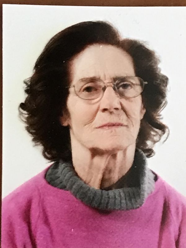 Maria Cleonice Guerini