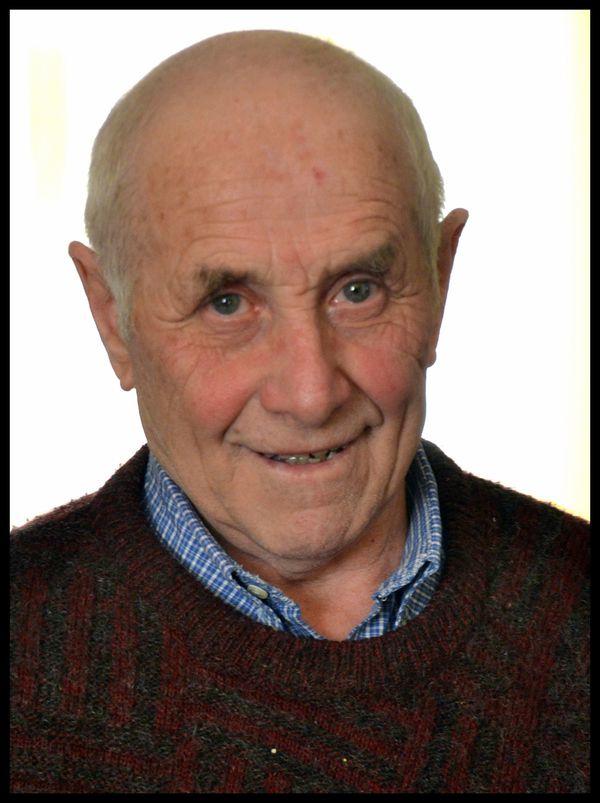 Fermo Vicini