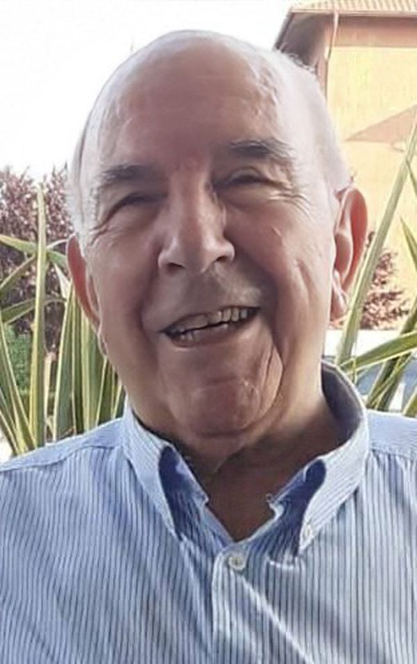 Dino Zirafa