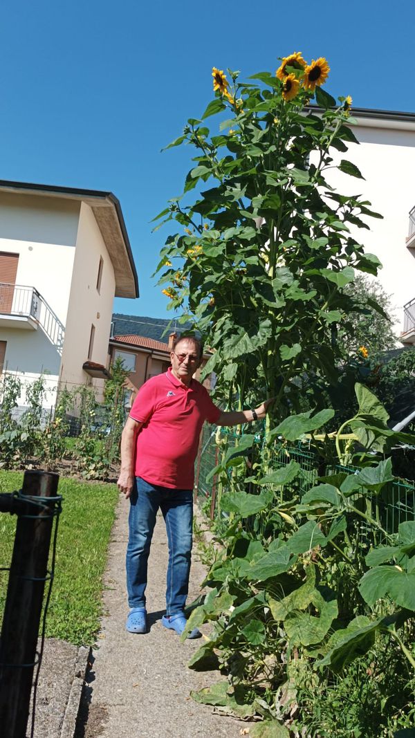Francesco Lena