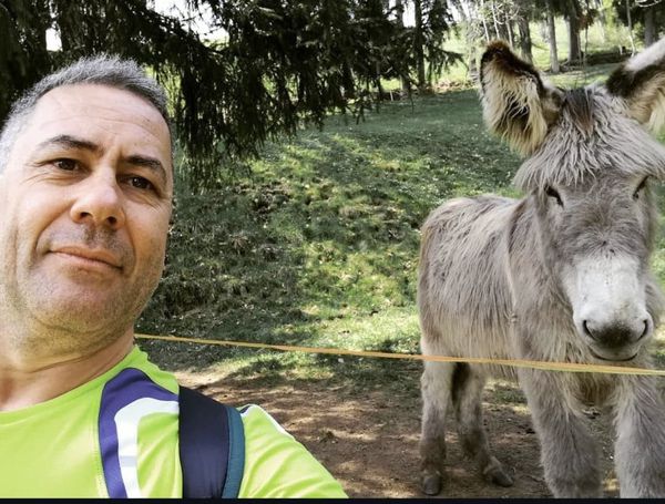 Gigi Contessi