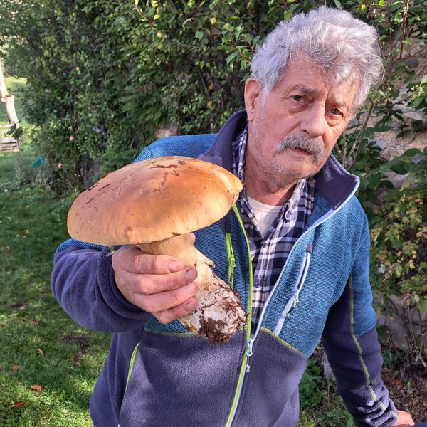 Roberto Bettoni