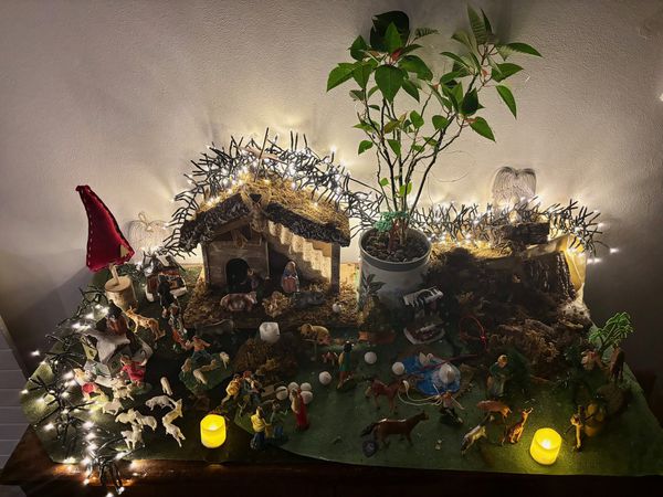 Diana e Gregorio Belloli