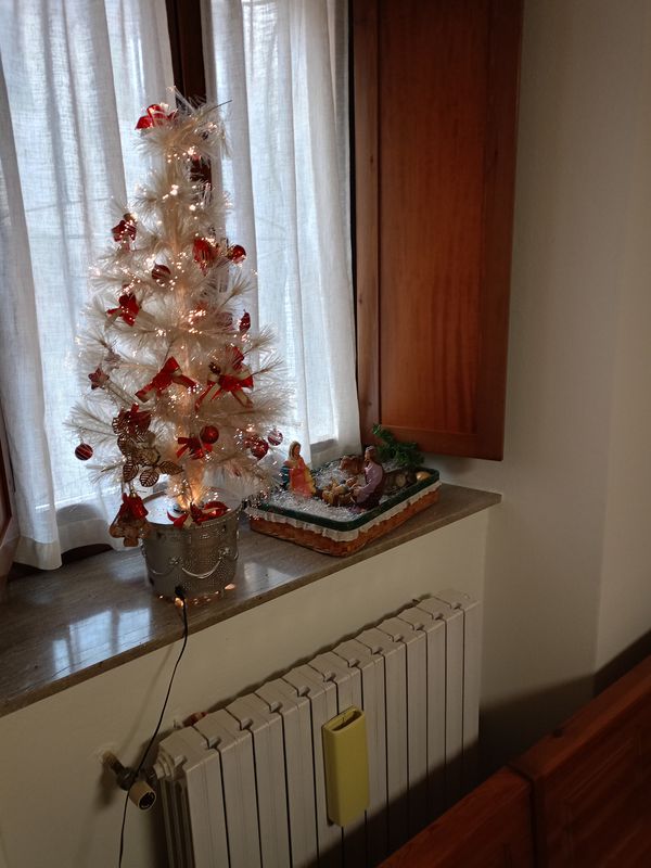 Presepe da Entratico