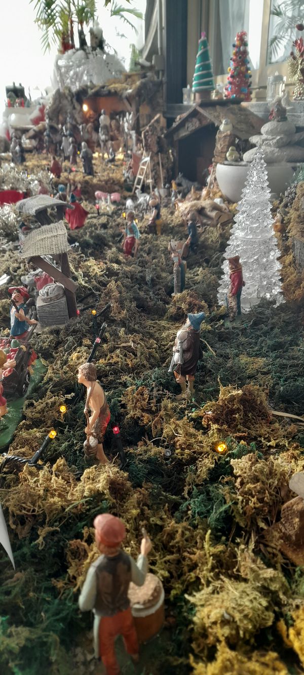 Locatelli Germana Antonia