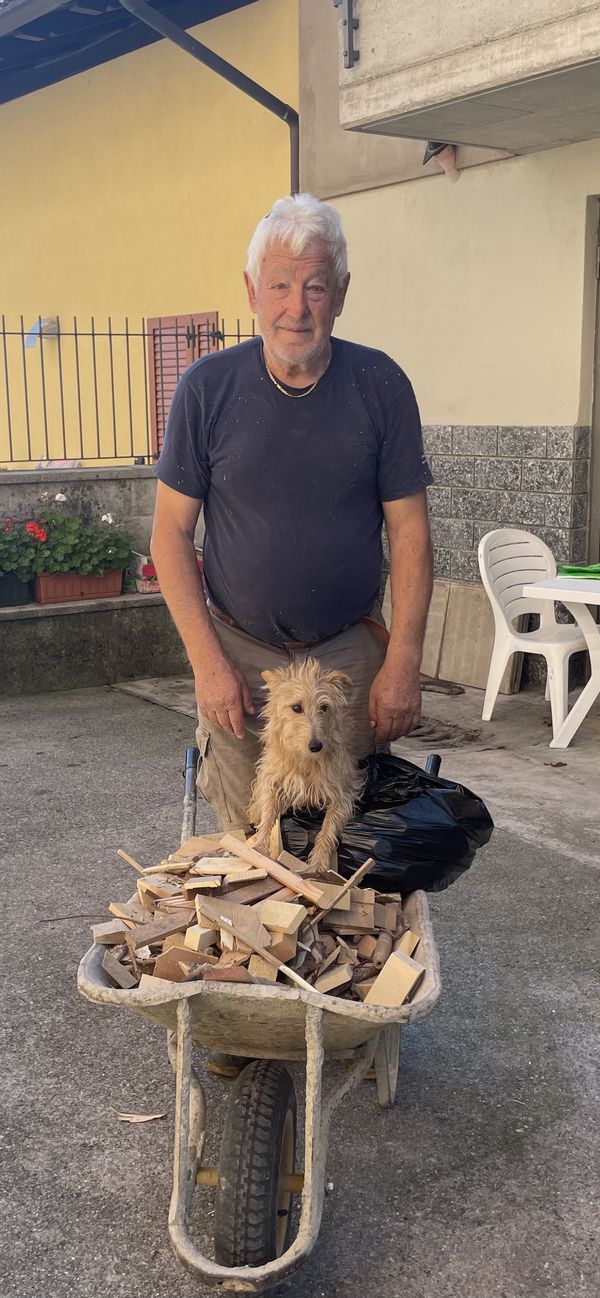 Tino Brasi