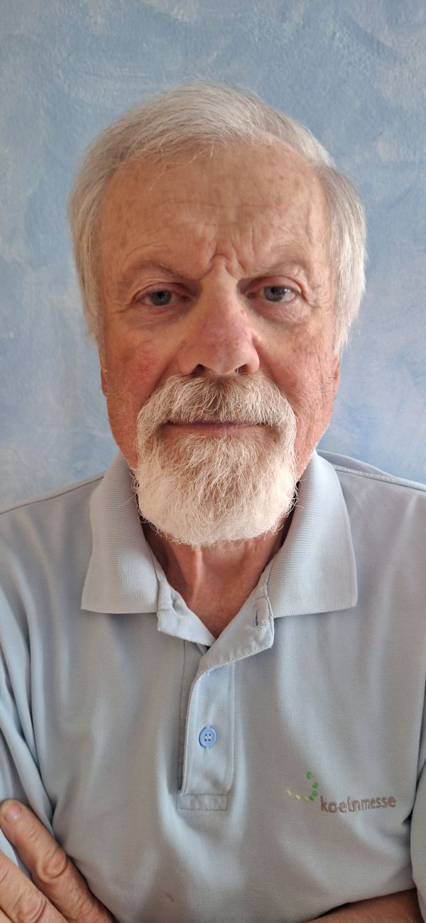 Giuseppe Vergani