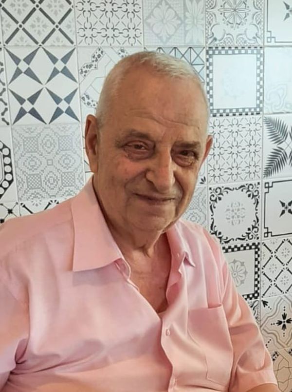 Brasi Palmo