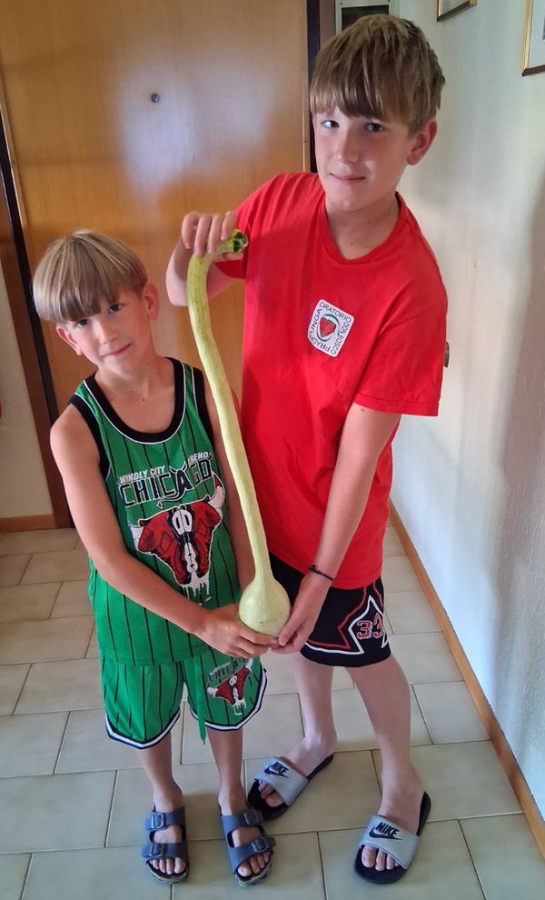 Riccardo e Federico Piccinini