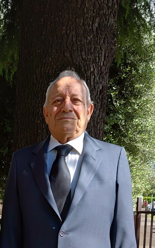 Virgilio Frigeni