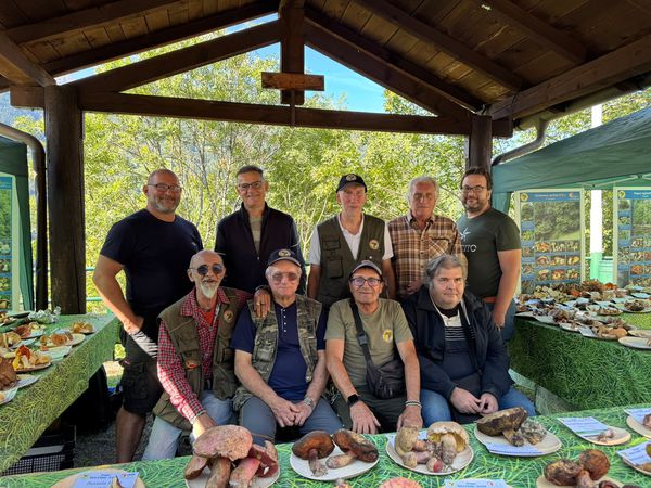 Gruppo Micologico Bresadola