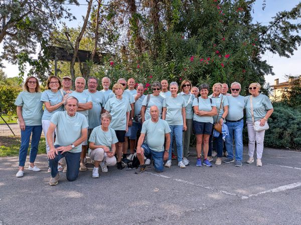 Gigi group original walking