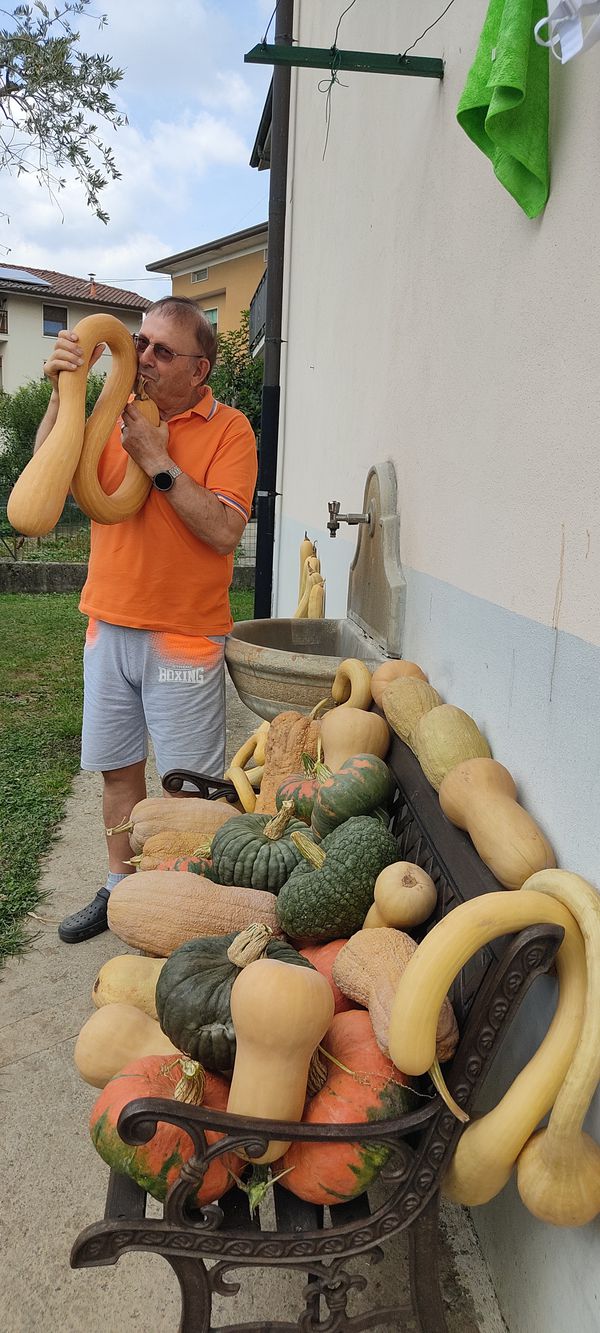 Francesco Lena